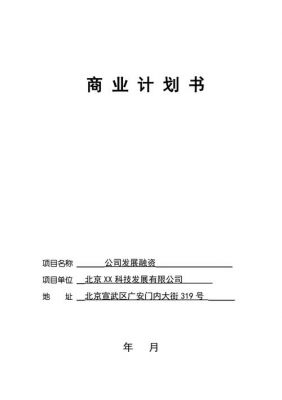 融资商业计划书范文（融资商业计划书范文怎么写）-图2