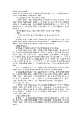 融资商业计划书范文（融资商业计划书范文怎么写）-图3