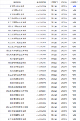 武汉所有公办职业学院（武汉公办职业学院排名有哪些）-图2