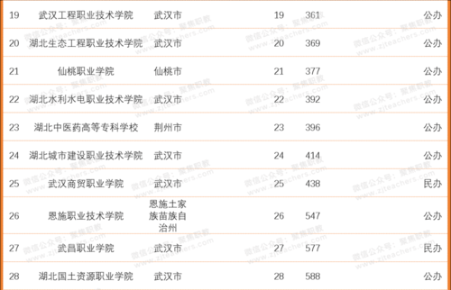 武汉所有公办职业学院（武汉公办职业学院排名有哪些）-图3