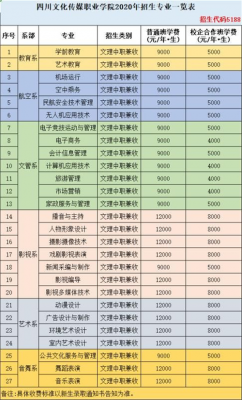 成都市职业学院（成都市职业学院排名）-图3