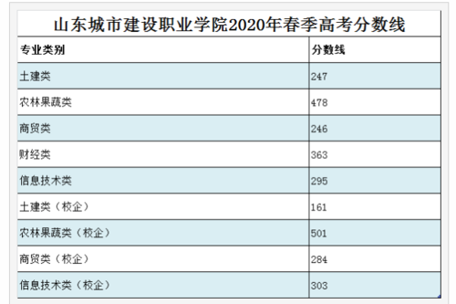 山东城市建设职业学院官网（山东城市建设职业学院官网查成绩2023）-图3