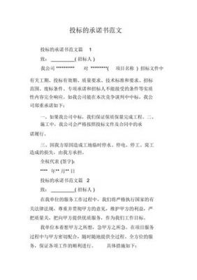 投标承诺函范文（投标承诺函范文图片）-图1