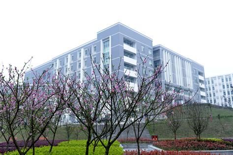 重庆建筑工程职业学院电工（重庆建筑工程职业学院是不是野鸡大学）-图2