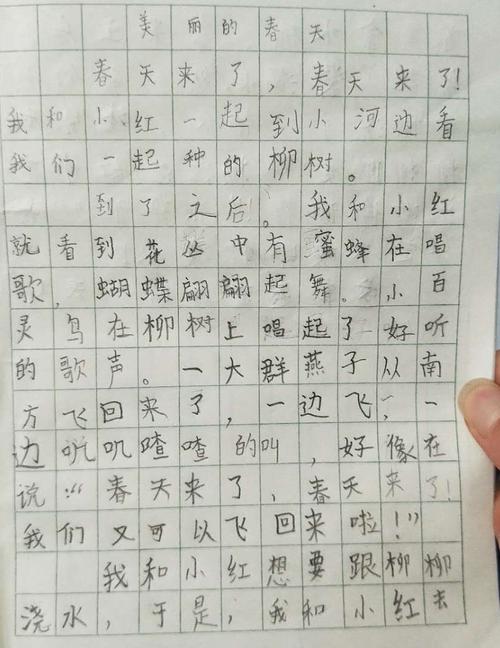 三年级看图作文范文（三年级看图写话优秀作文）