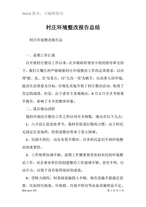 整改工作总结报告范文（整改报告通用总结）-图2