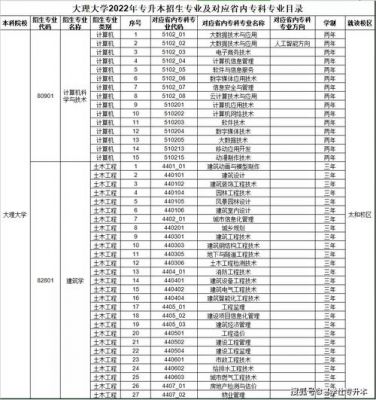 云南大理职业学院（云南大理职业学院面试时间2022）-图2