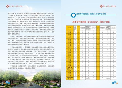 2018长沙电力职业学院（2018长沙电力职业学院招生简章）-图2