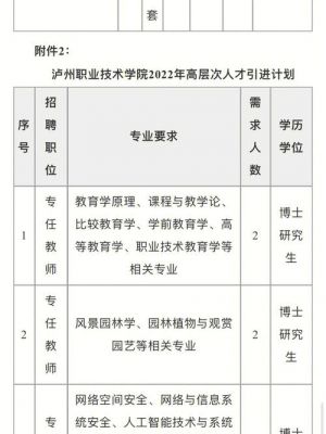 四川电力职业学院人才引进（四川电力职业学院人才引进公示）-图3