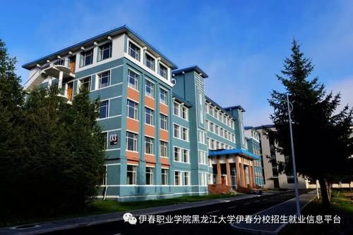 2020伊春职业学院（伊春职业学院职高）-图3