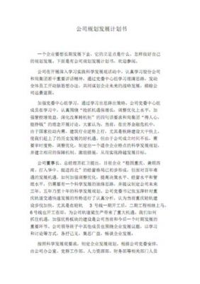 公司发展规划书范文（公司发展规划计划书）-图2