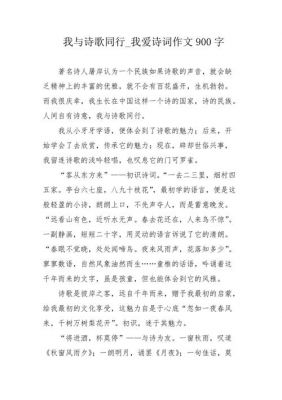 我与诗词作文范文（我与诗词的故事为题的作文）-图3