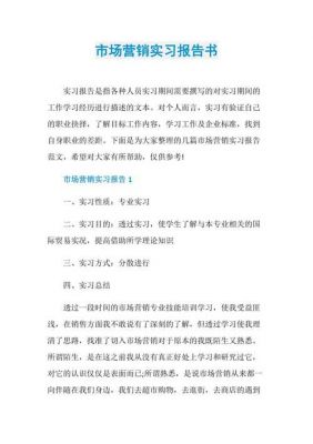 销售实训报告范文（销售实训报告范文怎么写）-图1