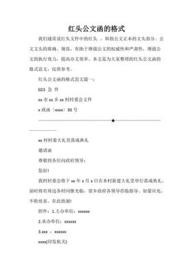 公文函的格式范文（政府公文函的格式范文）-图2