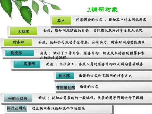 网站分析范文（网站分析内容有哪些）-图2