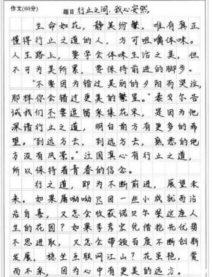 衡水中学语文作文范文（衡水中学作文题）-图1