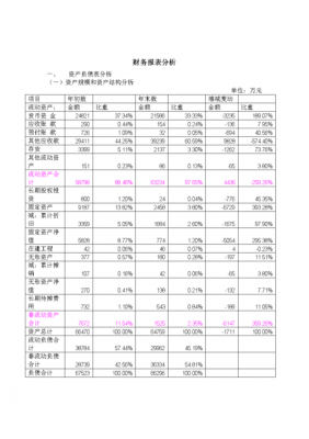 财务报表分析报告范文（“财务报表分析”）