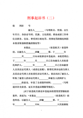 刑事诉讼书范文（刑事诉讼书怎么写范文）-图3