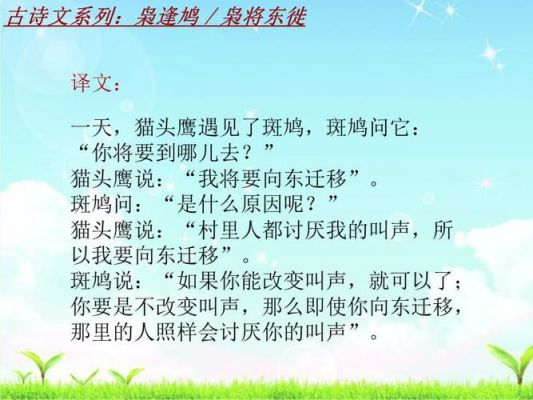 枭逢鸠范文（枭逢鸠文言文）-图3