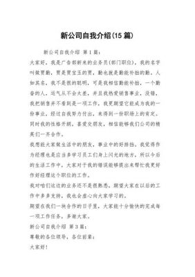 公司自我介绍范文（公司自我介绍说些什么）-图1