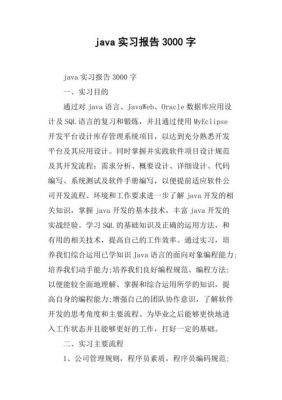 java实训报告范文（java实训内容）-图2