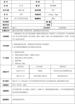 电气工程师个人简历范文（电气工程师简历个人总结）-图1