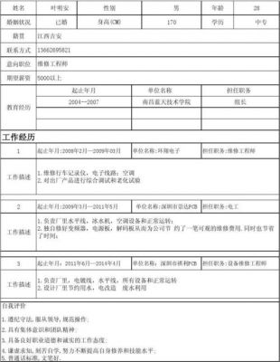 电气工程师个人简历范文（电气工程师简历个人总结）-图2