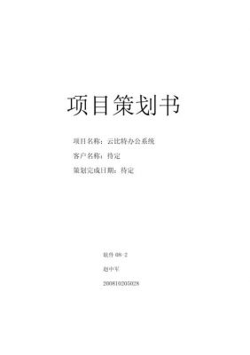 项目策划书范文（项目计划书范文案例）-图3