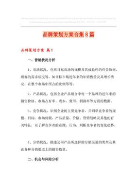 品牌策划书范文案例（品牌策划书范文案例分析）-图1