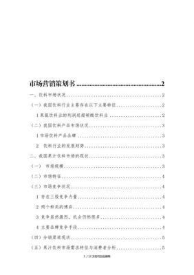 市场品牌策划书范文（品牌市场规划）