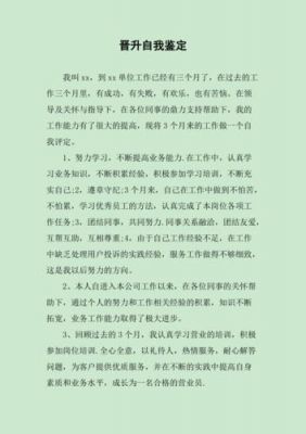 升职自我评价范文（升职自我评价范文怎么写）-图2