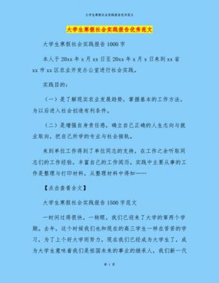 大学生寒假实践报告范文（大学生寒假实践报告范文怎么写）-图3