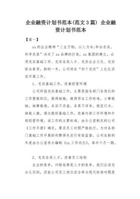 融资计划书范文（融资计划书范文模板）-图3