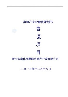 房地产融资计划书范文（房地产公司融资计划）-图2