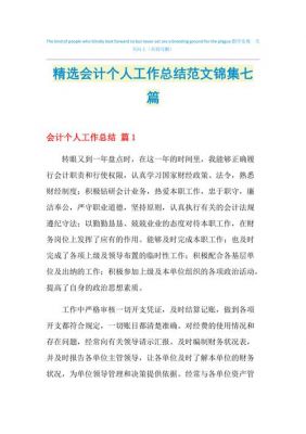 会计个人总结范文（会计个人总结怎么写）-图2