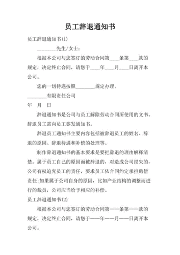 辞退信范文（公司辞退员工辞退书怎么写）-图1