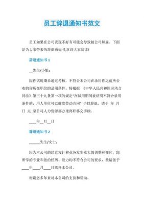 辞退信范文（公司辞退员工辞退书怎么写）-图3