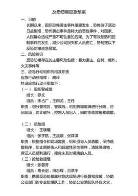 反恐应急预案范文（反恐应急预案范文最新）-图2