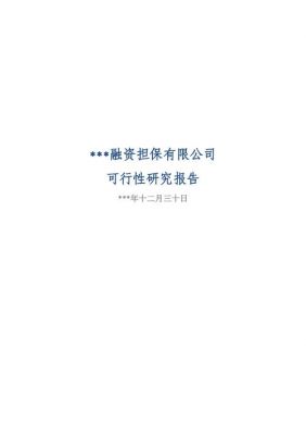 融资可行性报告范文（融资可行性报告的内容）-图3