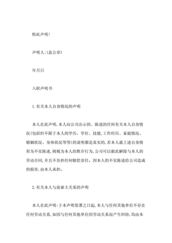 不承担责任声明书范文（不承担责任声明书范文免费）