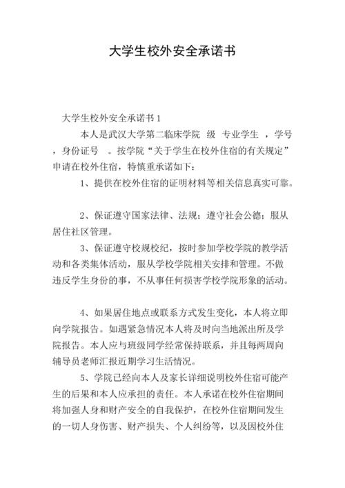 大学生承诺书范文（大学生承诺保证书怎么写格式）-图2