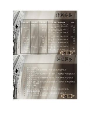 it职业规划英文范文（it职业发展规划2000字）-图3