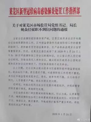 政府通报批评范文（人民政府通报批评）-图1