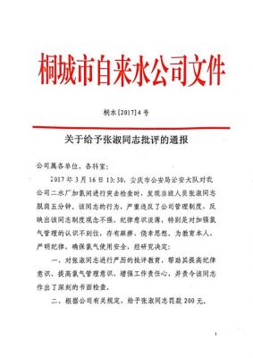 政府通报批评范文（人民政府通报批评）-图2