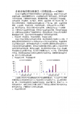销售分析报告范文（销售分析汇报）-图3