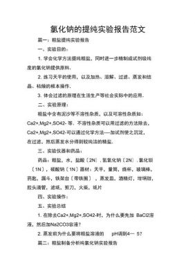 化学实验报告范文（化学实验报告）-图3